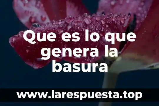 Que es lo que ocurre cuando se genera una explosion 6 Que es lo que genera la basura
