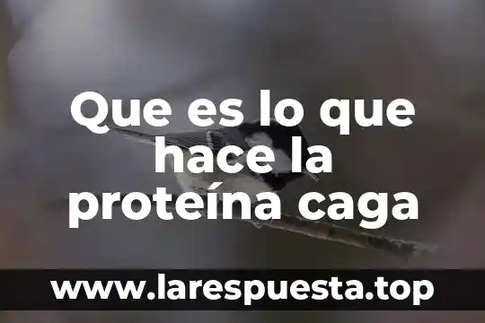 Que es lo que hace la proteína caga