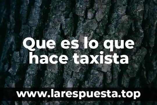 Que es y como se hace un estudio de mercado 8 Que es lo que hace taxista