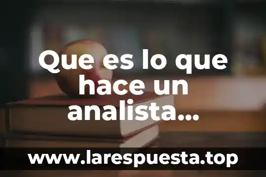 Que es lo que hace una bala 7 Que es lo que hace un analista contable