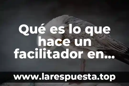 Mecanismos de calidad que es 7 Qué es lo que hace un facilitador en mecanismos alternativos