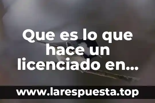 Qué es licenciado en educación 6 Que es lo que hace un licenciado en ventas