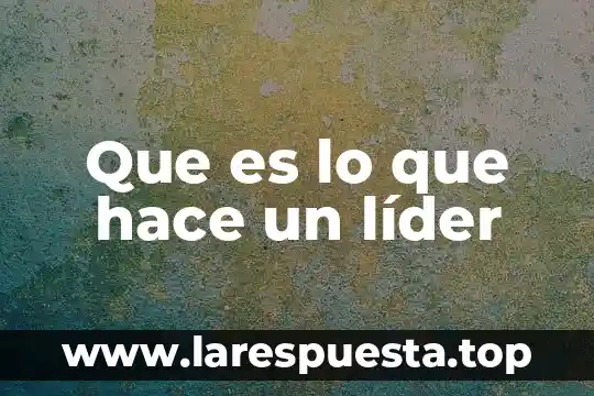 Que es y como se hace un estudio de mercado 3 Que es lo que hace un líder