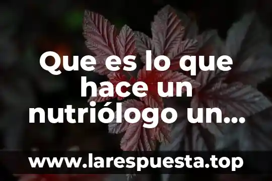 Qué es un guiñol y cómo se hace 3 Que es lo que hace un nutriólogo un nutriologo