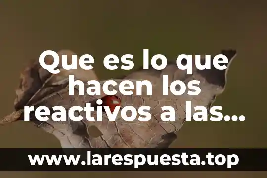 Meseros que es lo que hacen 4 Que es lo que hacen los reactivos a las tinciones