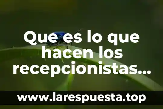 Meseros que es lo que hacen 6 Que es lo que hacen los recepcionistas de un hotel