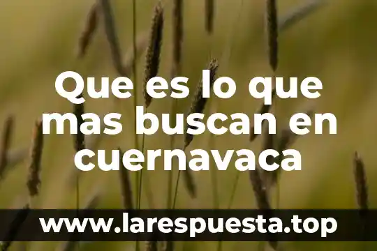 Que es lo que mas buscan en cuernavaca
