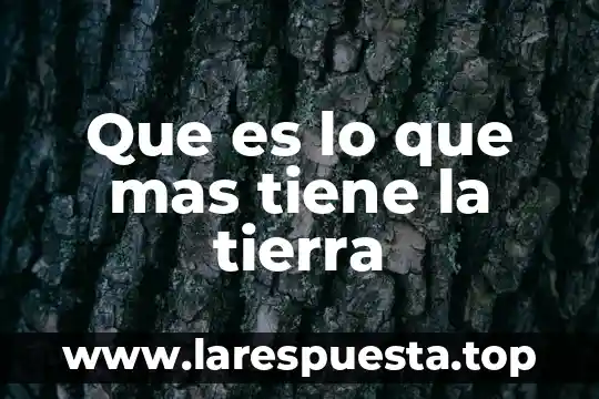 Que es lo que mas tiene la tierra