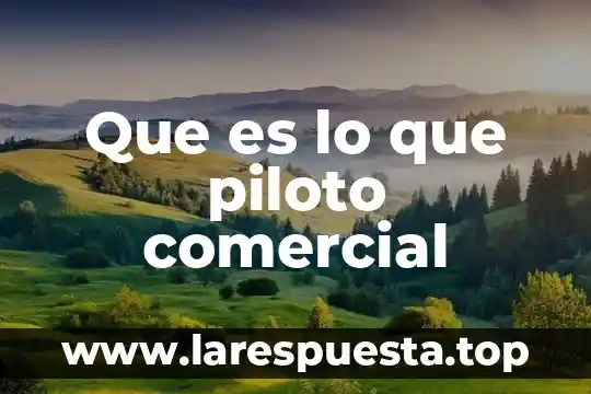 Que es software comercial y tipos 7 Que es lo que piloto comercial