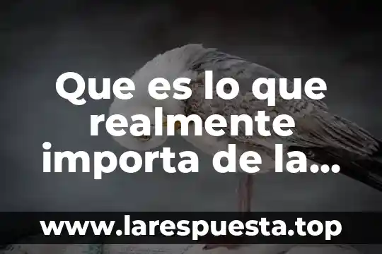 Que es lo que realmente importa de la enseñanza