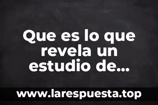 Que es cuando la orina sale concentrada 3 Que es lo que revela un estudio de orina