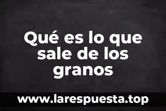 Que es una tela blanca que me sale del ojo 5 Qué es lo que sale de los granos