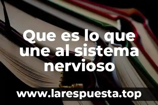 Que es lo que une al sistema nervioso