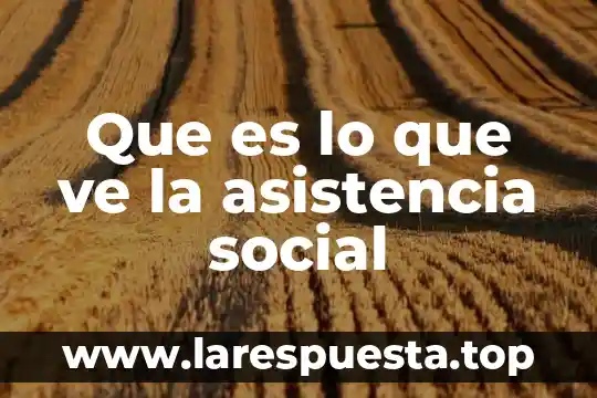 Que es lo que ve la asistencia social