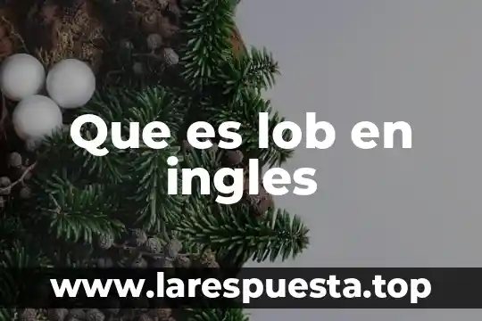 Que es lob en ingles
