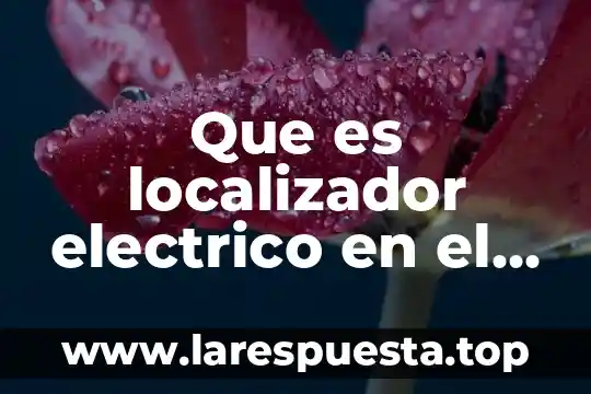 Que es localizador electrico en el pez cuchillo