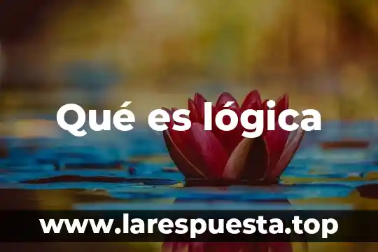 Qué es lógica