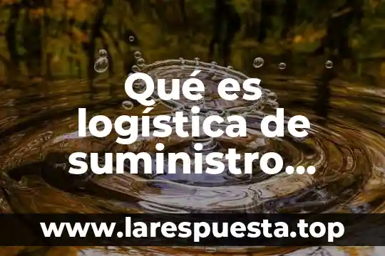 Qué es un inventario según la logística 4 Qué es logística de suministro definición