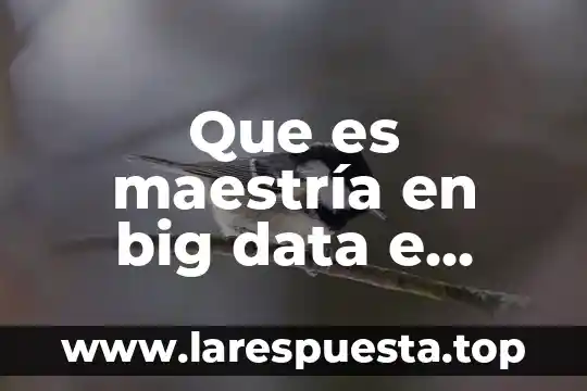 Que es la inteligencia de procesos 3 Que es maestría en big data e inteligencia organizacional