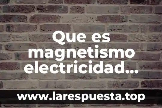 Magnetismo que es una 3 Que es magnetismo electricidad fisica