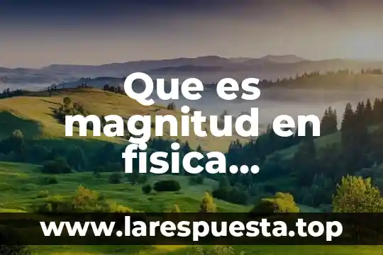 Que es magnitud en fisica definicion