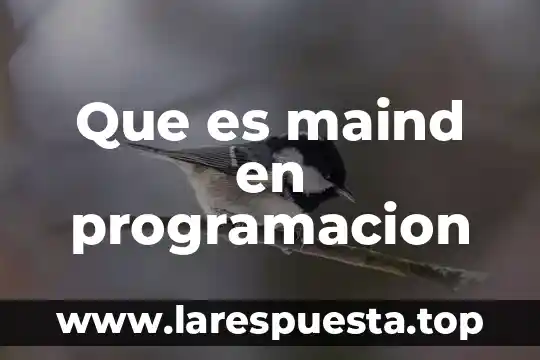 Que es un puerto de programacion 4 Que es maind en programacion