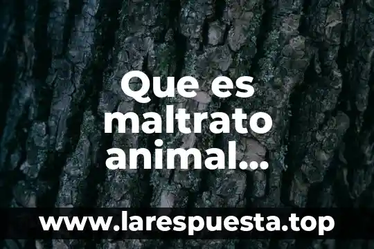 Que es maltrato animal domestico
