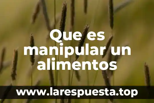 Chatarra de alimentos que es 6 Que es manipular un alimentos