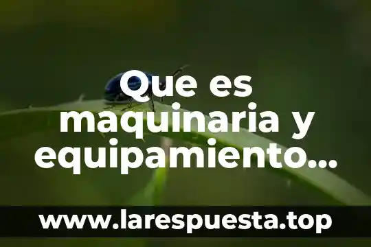 Que es un problema administracion de proyectos 8 Que es maquinaria y equipamiento para proyectos innovadores empresariales