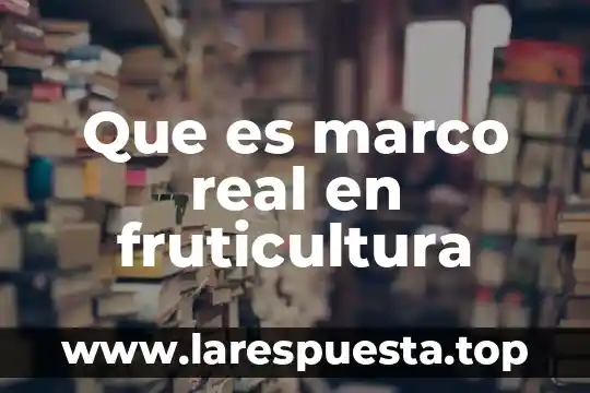 Qué es el marco fenomenológico 5 Que es marco real en fruticultura