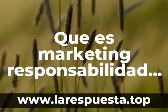 Que es la responsabilidad social profesional 8 Que es marketing responsabilidad social empresarial