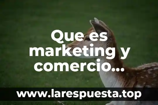 Que es una acuerdo de libre comercio 8 Que es marketing y comercio internacional