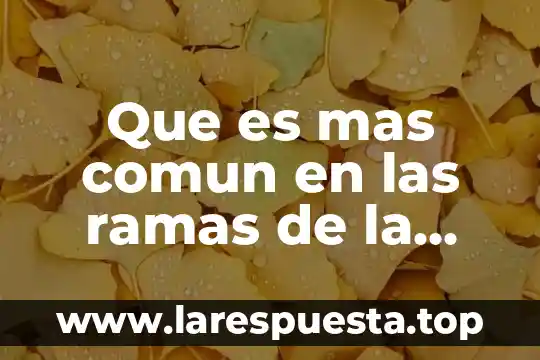 Que es factor comun de un polinomio y algunos ejemplos 8 Que es mas comun en las ramas de la criminologia