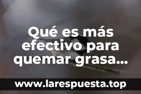 Qué es equivalente de efectivo 5 Qué es más efectivo para quemar grasa correr o caminar