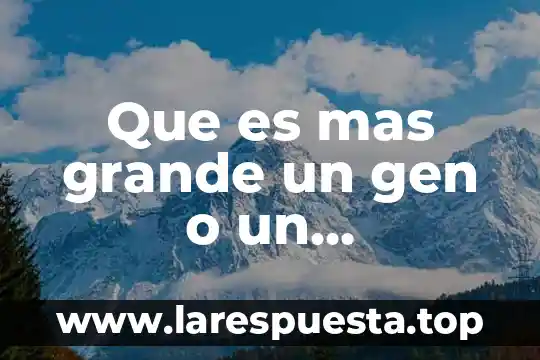 Que es mas grande un decimo o un milecimo 3 Que es mas grande un gen o un cromosoma