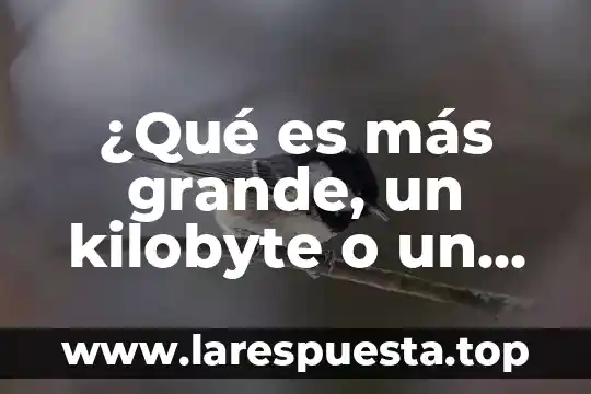 Que es mas grande un decimo o un milecimo 8 ¿Qué es más grande, un kilobyte o un gigabyte?