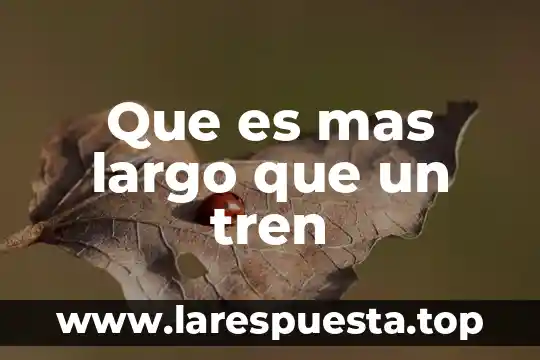 Qué es un servidor y los más populares 3 Que es mas largo que un tren