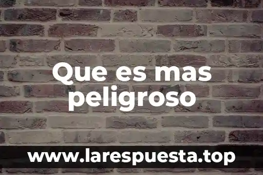 ¿Qué es más peligroso dengue chikungunya o zika? 8 Que es mas peligroso