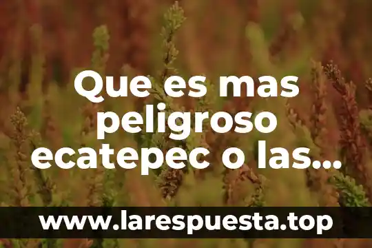Que es mas peligroso 6 Que es mas peligroso ecatepec o las fabelas