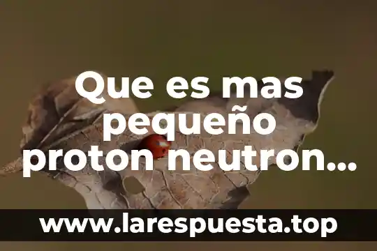Que es mas pequeño que una particula 8 Que es mas pequeño proton neutron o electron