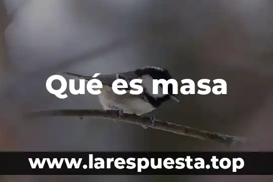 Qué es masa