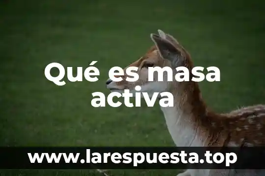 Qué es masa activa