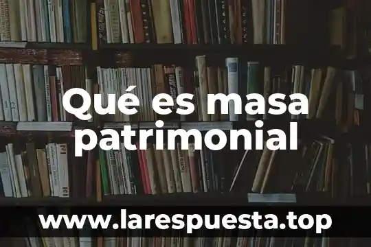 Qué es masa patrimonial