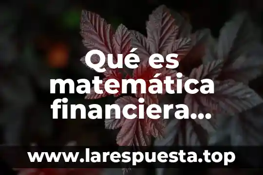 Que es tasa en matematica financiera 5 Qué es matemática financiera Yahoo