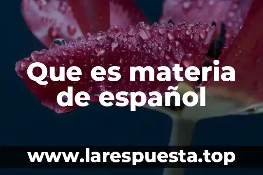 Que es una materia extracurricular 6 Que es materia de español