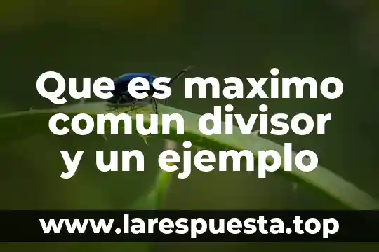 Que es un hombre hombria al maximo 6 Que es maximo comun divisor y un ejemplo