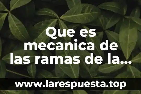 Que es mecanica industrial 5 Que es mecanica de las ramas de la física