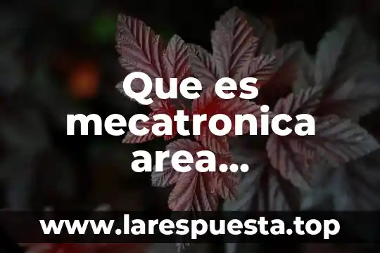 Que es mecatronica area automatizacion