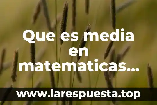 Que es media en matematicas circulo