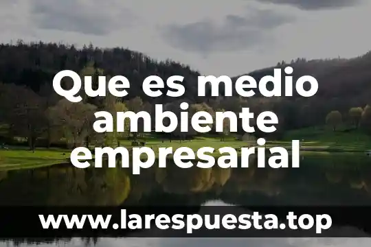 Que es el ambiente social en las novelas 3 Que es medio ambiente empresarial